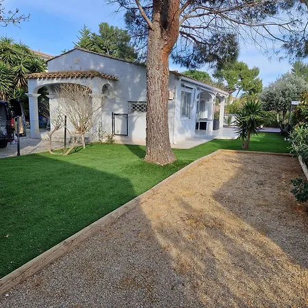 فيلة La Belle De