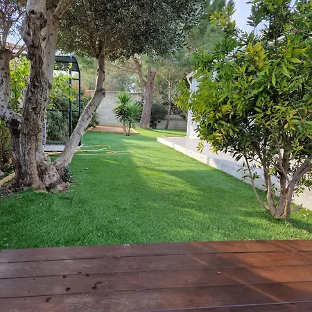 La Belle De سيجيان