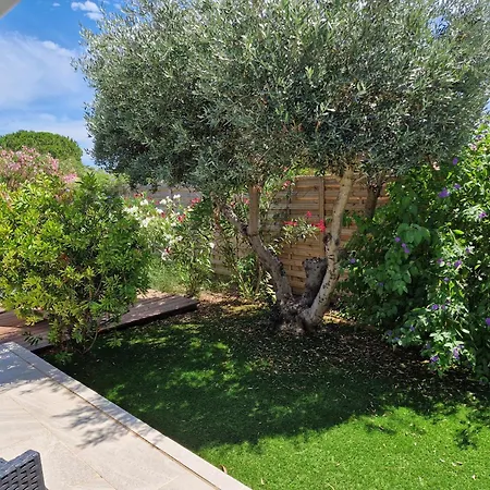 La Belle De فيلة سيجيان